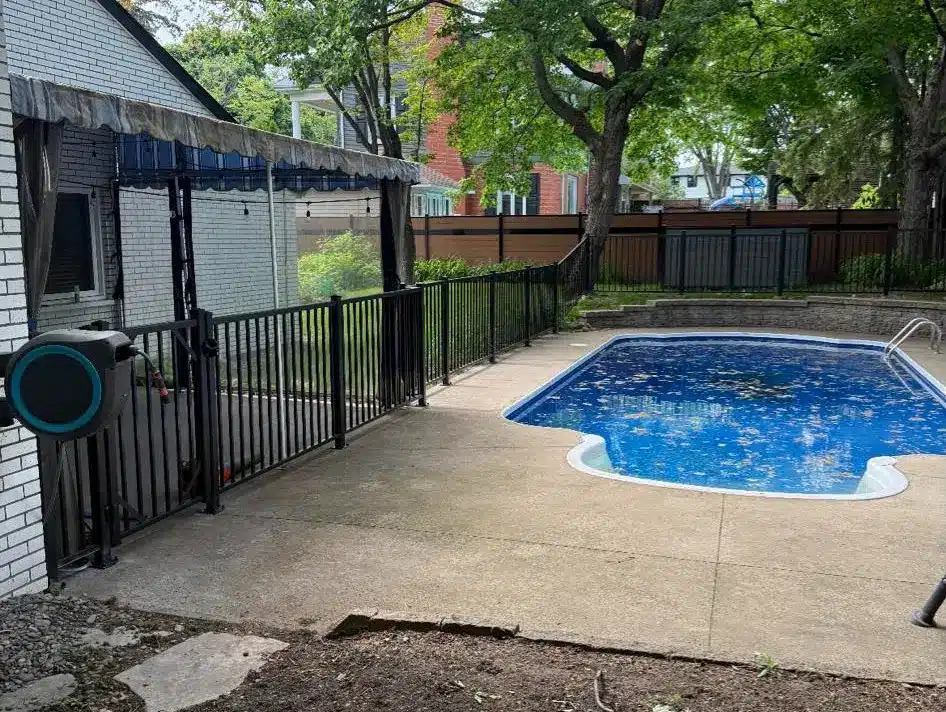 Backyard pool with trees